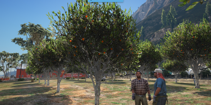 Orange Picking and Juice Process Script For GtaV FiveM QBCORE Server