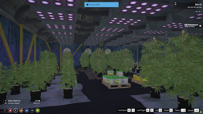 STORAGE &  SECRET UNDERGROUND WEED FARM FOR GTAV FIVEM QBCORE SERVER | STORAGE UNIT